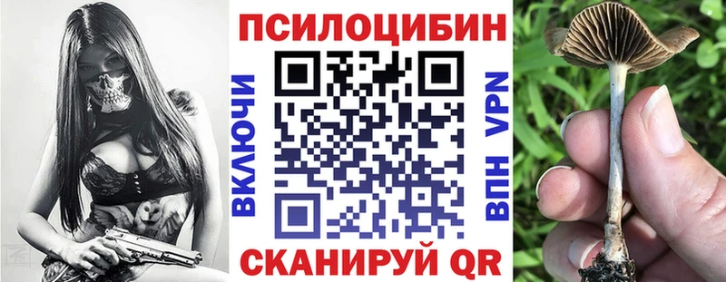 Псилоцибиновые грибы ЛСД  Ставрополь 